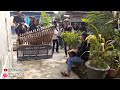 Kuda Sumedang Cover Angklung Cirebonan