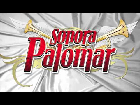 EL CHANGO SONORA PALOMAR