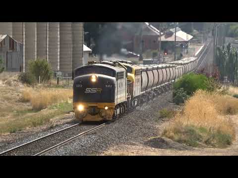AMAZING vintage locomotive lashups! BRILLIANT Sound! SSR trains around Victoria.