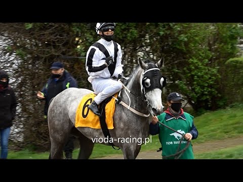 Gon. VI (N. Kabareta) - 2.05.2021 - Mayar Al Khalediah (Nashwan Al Khalidiah - Assma Al Khalediah)