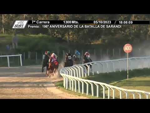 SINT FLORIDA 231005 c07 - 1° CRAZYANALIZE