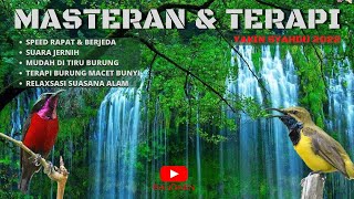 Download lagu MASTERAN Konin VS Sogon JUGA TERAPI ALIRAN AIR & SUARA ALAM UNTUK MURAI, KACER, CUCAK IJO dll mp3 Download lagu MASTERAN Konin VS Sogon JUGA TERAPI ALIRAN AIR & SUARA ALAM UNTUK MURAI, KACER, CUCAK IJO dll mp3