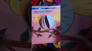 Fraction Bird#fraction#maths project