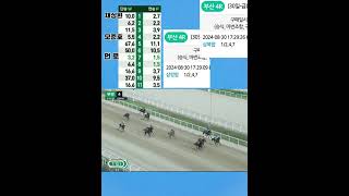 [경마] 삼쌍승식 축잡고 "300배" 세금내기!