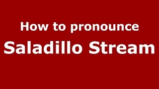 How to pronounce Saladillo Stream