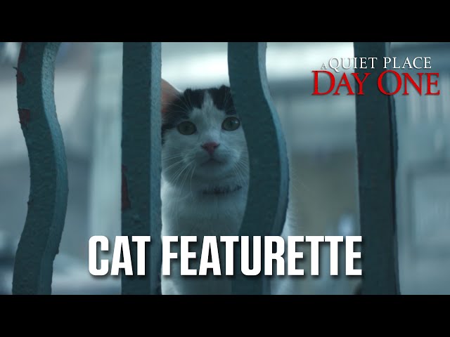 Cat Featurette