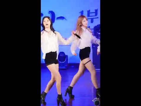 [직캠/Fancam]150407 동의대 총학출범식 EXID 하니 위아래