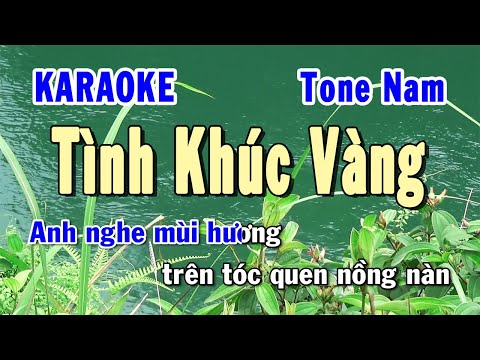 Tình Khúc Vàng Karaoke Tone Nam | Karaoke Hiền Phương