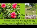 Pattukottai Kalyanasundaram Songs கன்னியூர் சாலையிலே பொண்�