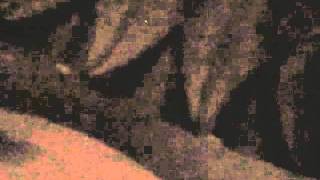 John Zorn ORGAN solo (Antwerpen 2011) #1