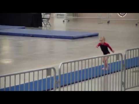 Josc first ever competition vault!