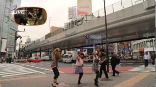 [PV] あやまんJAPAN 「ぽいぽいぽいぽぽいぽいぽぴー」(Ayaman JAPAN - Poi Poi Poi Po Poi Poi Po Pii)