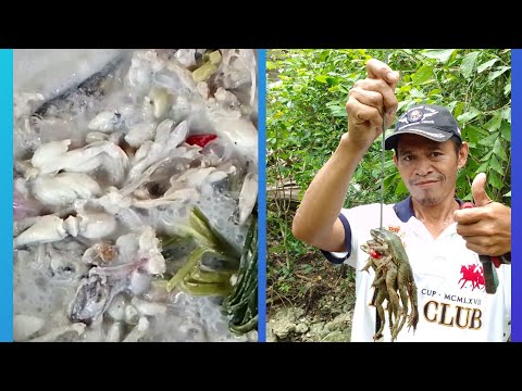 Pangingilaw ng palaka at paninisid..catch&cook.part.1