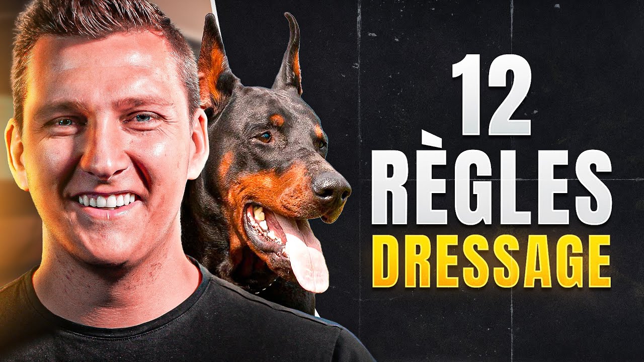LES 12 RÈGLES POUR DRESSER OU EDUQUER SON CHIEN - (tuto dressage chien)