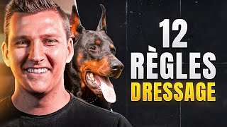 LES 12 RÈGLES POUR DRESSER & ÉDUQUER SON CHIEN OU SON CHIOT