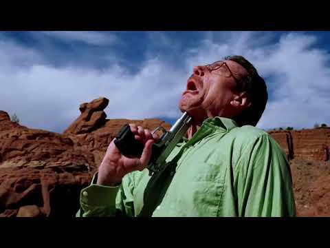 Walt attempts suicide