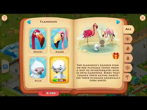 Township level 31 zoo