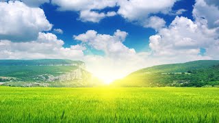 אמונה חלק א | תוכנית בשידור חי מרדיו אור ברסלב | מאת הרב ברוך זרובבל (הרב ברוך זרובבל) - התמונה מוצגת ישירות מתוך אתר האינטרנט יוטיוב. זכויות היוצרים בתמונה שייכות ליוצרה. קישור קרדיט למקור התוכן נמצא בתוך דף הסרטון