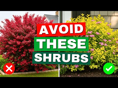 😱 5 Small Garden Shrubs You Should AVOID—What to Plant Instead!