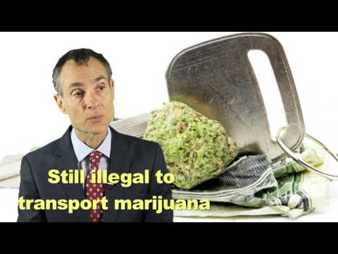 Media - Marijuana In My Car