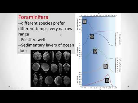 APES Unit 9.5,9.6,9.7 Global Climate Change Part 3 of 7