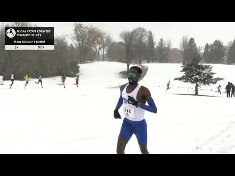 Men's Division I 8K - NJCAA National Cross Country Championships 2025 [Full Race Replay]