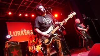 The Lurkers @ Duesseldorf, Haus der Jugend (12.11.2016) - Going Monkey Again (hey Hey Hey)