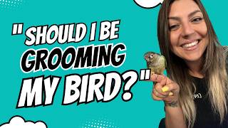 Parrot Grooming Guide 🦜 Do Pet Birds Need Grooming?