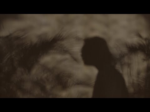 Adhitia Sofyan - Tree In A Forest (Official Lyric Video)