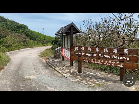 A must visit place here in Hong Kong during winter season. Cape D'Aguilar..