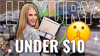 ✨BUDGET LUXURY ORGANIZATION ✨ ALDI beats Dollar Tree and Walmart with these Fall ideas!