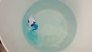 Paper Boat Kaisa Banaye At home ll Kagaj Ki Naav Experiment