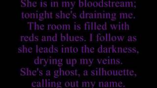 Hawthorne Heights - Dead in the Water lyrics