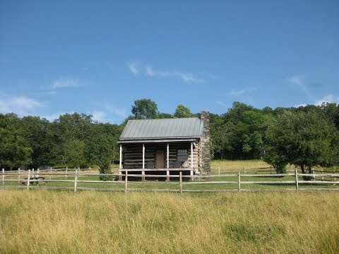 The Jauntee - For Lovers