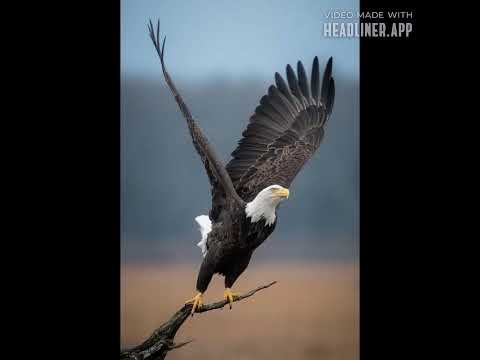 Conversation 7: Believing In Yourself And Belonging WithYourself ✨🤍✨