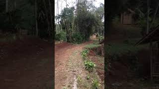 Download lagu Kampung Lisung Uyut mp3 Download lagu Kampung Lisung Uyut mp3