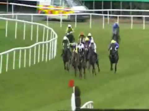 dunguib 29 april 2009 punchestown