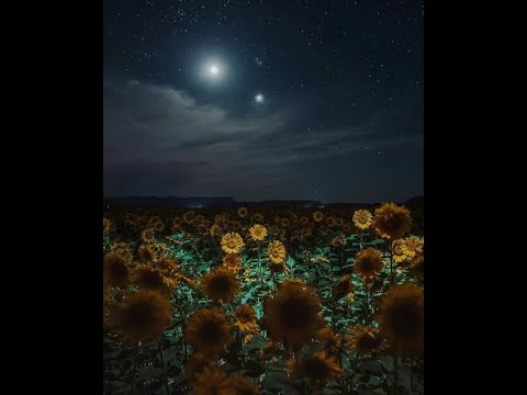 NU -  ARYKKA LIVE SESSION