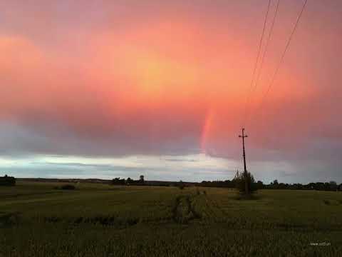 Your smile brightens the world / YAMANEZ 77