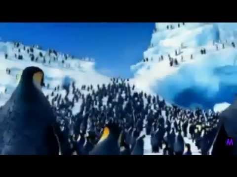 Happy Birthday to Sayani Kabiraj