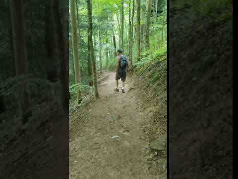 Trail to waterfall