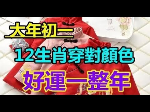 十二生肖衣服