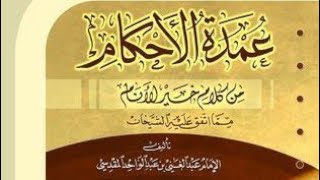 صورة التعليق على كتاب عمدة الأحكام الشيخ محمد بن مبارك الشرافي ( شرح مطول غير مكتمل إلى كتاب الطهارة )