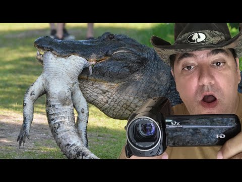 youtube embeded image