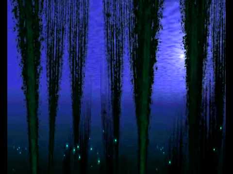 (®dj.funkysize©)™ - All I Want (FBP) Remix