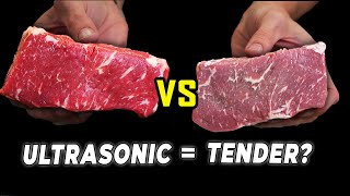 Can We Tenderize Steak Using an Ultrasonic Cleaner??