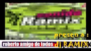 SUPER LAMAS MIX DJ RAMIX EXITOS DJ RAMIX 2013