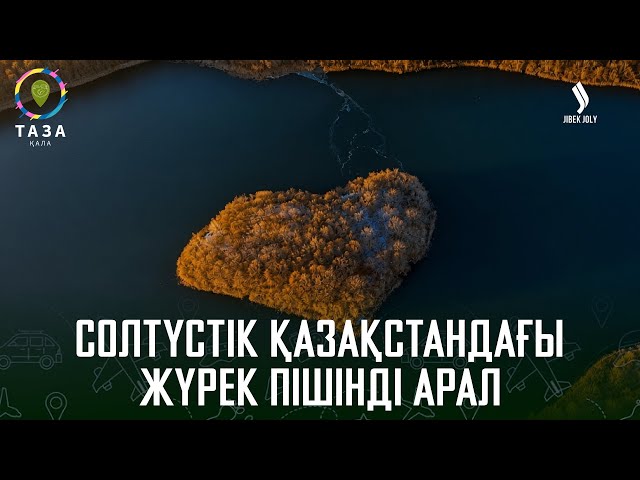 Жылқы алғаш қолға үйретілген жер қайда?