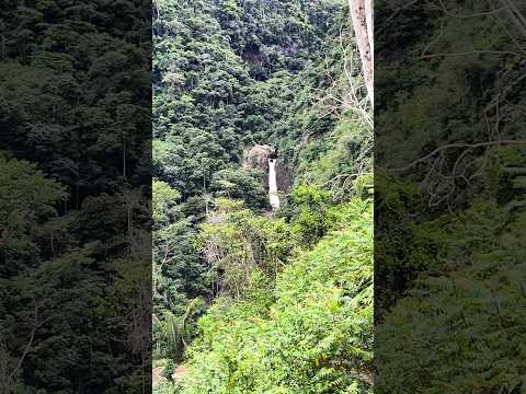 Entre Dos Agua, CARANAVI Turística