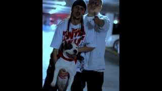 D.U.D.A. - Pitbulli Jem